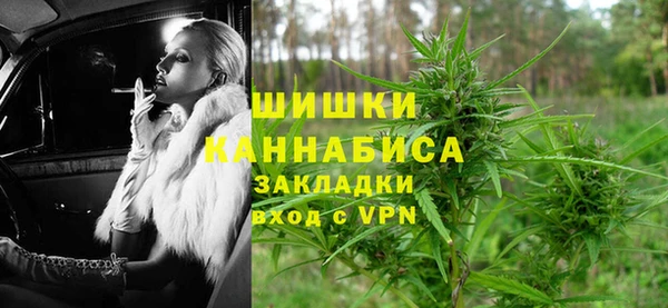 дмт Арсеньев
